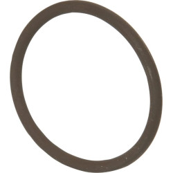 New Holland TS125A Plus 14458281 Ring Fkw