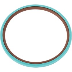 Case - IH Maxxum 140EP Efficient Power Engine Tier 4A 2/12-12/15 5196581 Sandarinimo žiedas