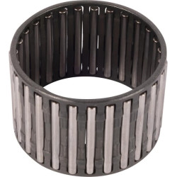 New Holland T4060F 5168196 Needle bearing