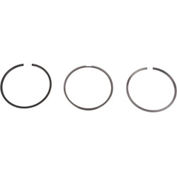 New Holland T6020 Delta 8094845 Piston ring set