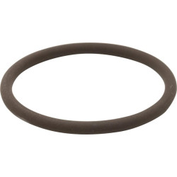 New Holland T6020 Delta 14458381N O-Ring