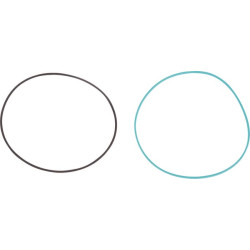 New Holland T6050 RC 5138955 O-Ring