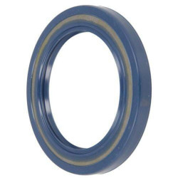 New Holland T6030 Delta 025296N Seal BAU4SLX2 70x100x10 72NBR