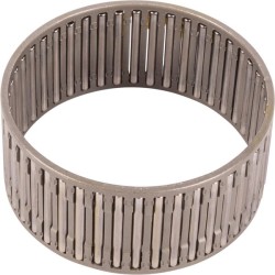 Case - IH Maxxum 100 GARU 81863566 guolių komplektas