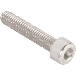 Case - IH Maxxum 110 GARU 87016469 Varžtas