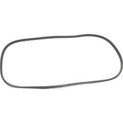 New Holland TN75SA 5196385 Seal, Glass