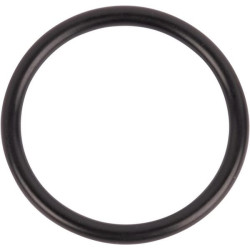 New Holland 8670 167268 O-ring