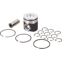 New Holland 8670 A 87802369 Plungers and rings set