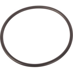 New Holland 8970 9848697N O-ring