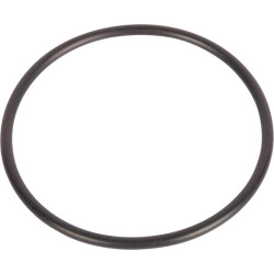 New Holland 8970 9846875 O-Ring