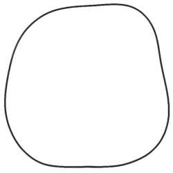 New Holland 8340 83417133N O-ring Ford