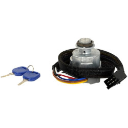 New Holland 8360 20503102PN Ignition switch P-0-1-2-3, Pneutron