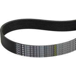 New Holland TD5.95 - T4A TMR (9/17 -) 84426014 V-belt