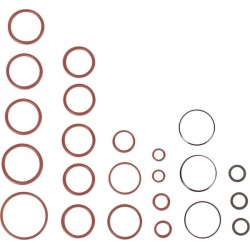 Case - IH Maxxum 115 Value 5190771 komplektas, sandarikliai