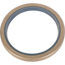 Case - IH Maxxum 115 Value 47137455 Antspaudas