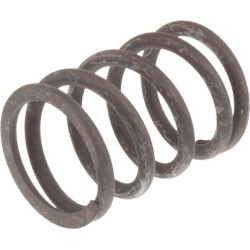 New Holland TD5.95 - Engine Tier 4A, (10/14) 4812347 Spring