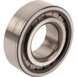 New Holland TS100 81824478 Bearing