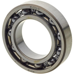 New Holland TS110 28042470 Roller bearing