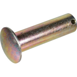 New Holland TS110 82014254 Pins