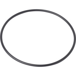 New Holland TS115 4966231N O-ring