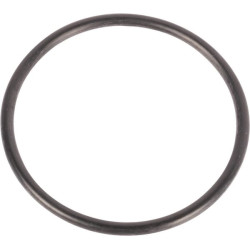 New Holland TS115 81867898 O-ring