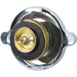 New Holland TS90 83935905N Radiator cap suitable for NH