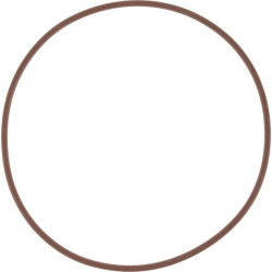 New Holland T8.390 14466981 O-ring