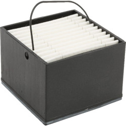 New Holland T8.275 - Engine Tier 4A P954554 Fuel filter box