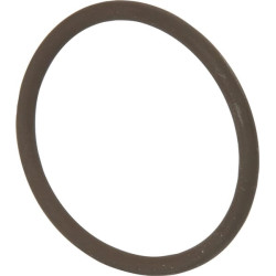 New Holland TM115 14458281 Ring Fkw