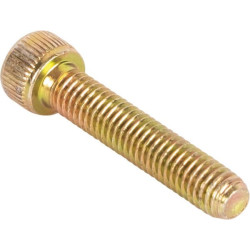 New Holland TM115 83905941 Screw