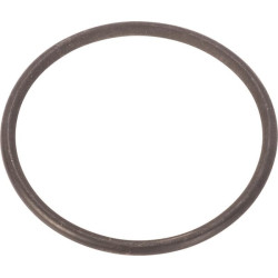 New Holland TM120 14458881N Seal ring