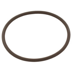 New Holland TM125 14459381 O-ring