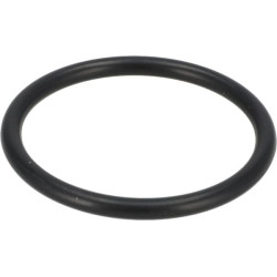 New Holland 3045 24x24 arba HST W/Rops (3/08–12/12) SBA052100400 O žiedas