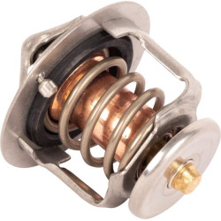 New Holland 3045 CVT W/Cab Dublin (4/09–12/15) SBA145206220 Termostatas CNH