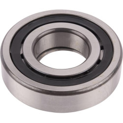 New Holland T6.175 Stage V (7/20 -) Dynamic Command Stage V 5138660 Cylindrical roller bearing