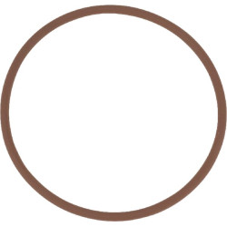 New Holland T6.160 - Stage V (7/20 -) 14459881 O-ring