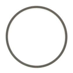 Case - IH MX100C Maxxum 1995100C1 Alyvos sandariklis Case - IH