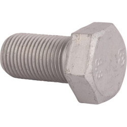 New Holland TD85F T2 (10/09 - 12/12) 15980524 šešiakampis varžtas M16x1,5x30 mm, Cl 8,8