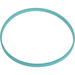 New Holland TM130 5136567N Ring