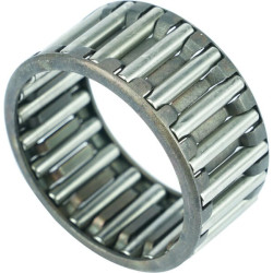 New Holland TM155 5119556 Needle Bearing Cage