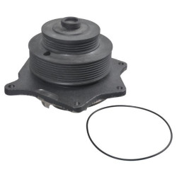 New Holland TM175 87802496KR Water pump