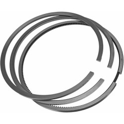 New Holland TL90 VPB4022 Piston ring