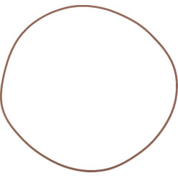 New Holland T7.245 - Engine Tier 4B 14469481 O-ring