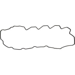 New Holland T7.290 - Engine Tier 4B 504070038 Rocker cover gasket