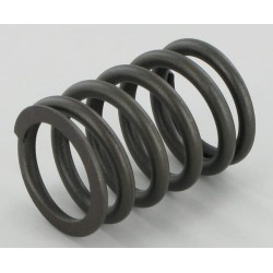 Case - IH 645 3055060R1N vožtuvo spyruoklė CNH