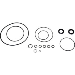 New Holland 515 DHPN3A674BN Kit Rings