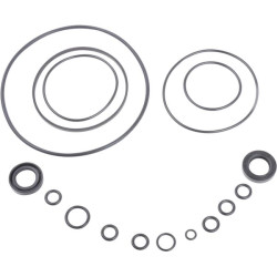 New Holland 515 DHPN3A674BN Kit Rings