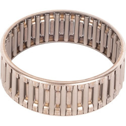 New Holland TD4.80F 5161805 Bearing, Needle