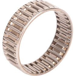 New Holland TD4.80F 5161805 Bearing, Needle