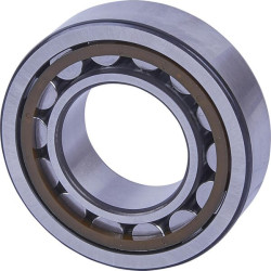 New Holland TT55 82827157 Bearing